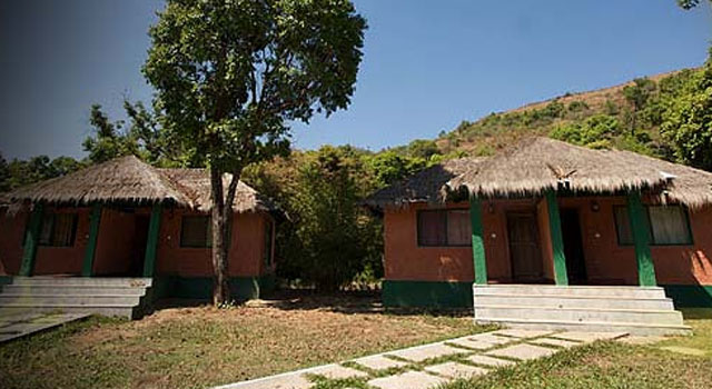 Jungle Lodge Resort