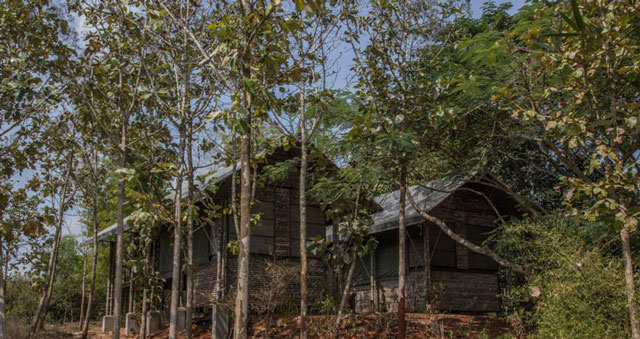 Kaav Safari Lodge Kabini