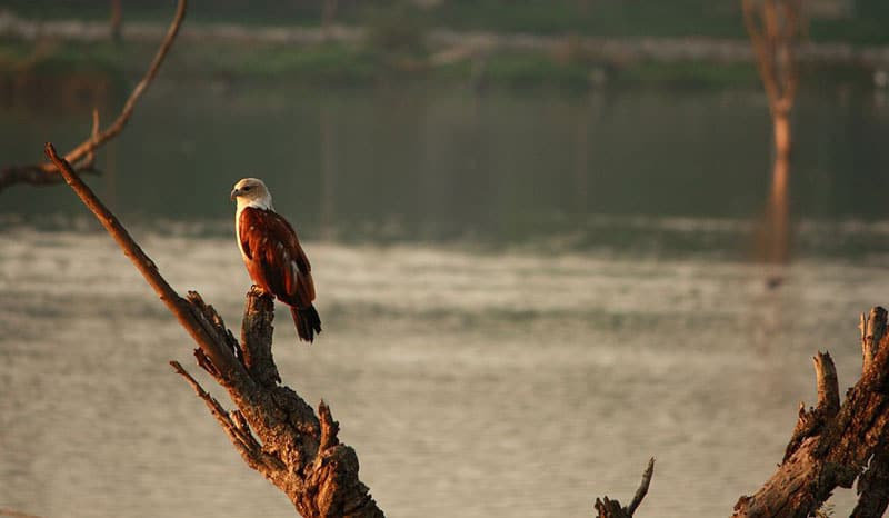 Kaikondrahalli Lake