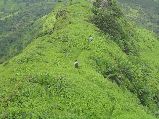 kamshet