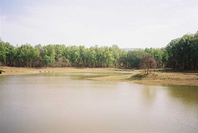 kanha-national-park2