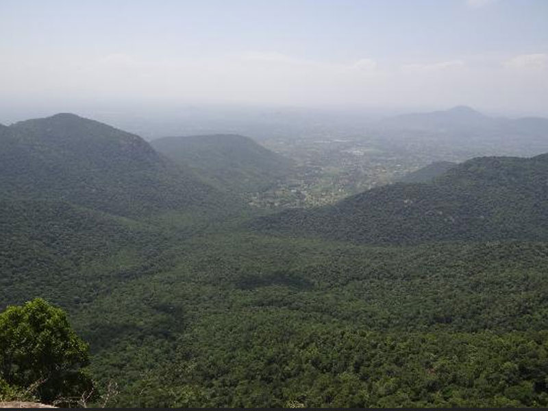 Karadiyur Viewpoint