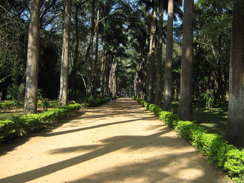 Karanji Lake Mysore