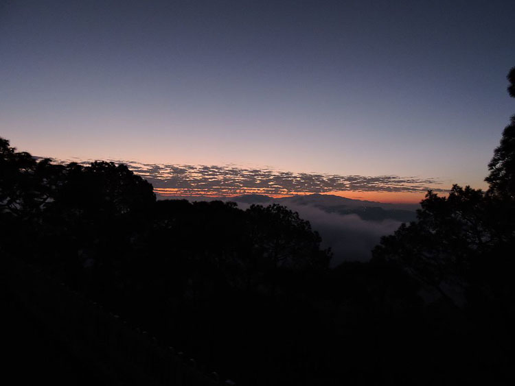 Kasauli