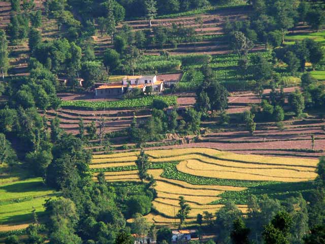 kasauli2