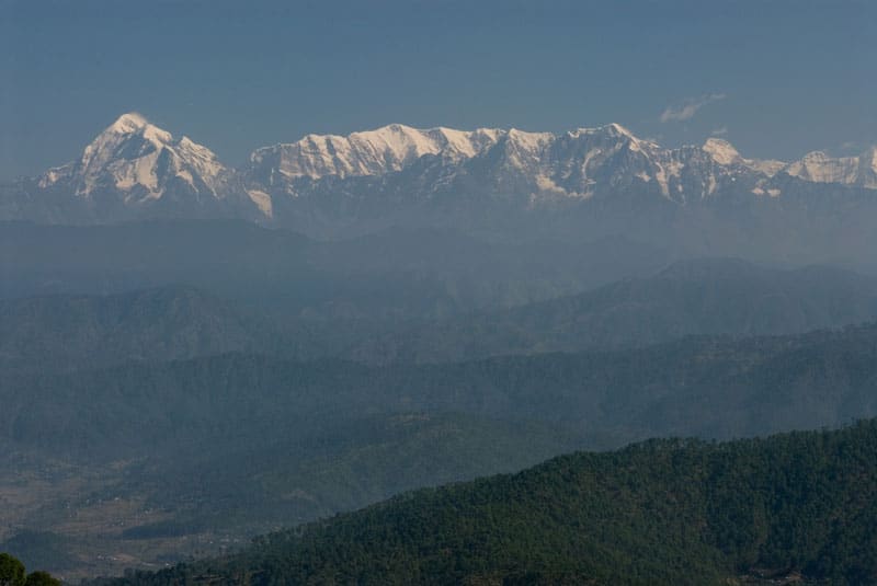 Kausani Tea Estate Kausani