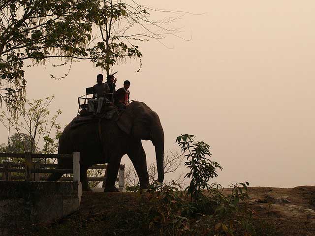 kaziranga-national-park1