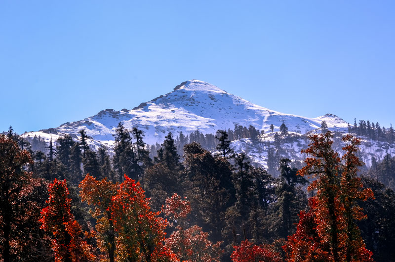 Kedarkantha Trek, Uttarakhand