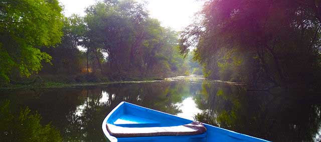 keoladeo-ghana-bird-sanctuary3