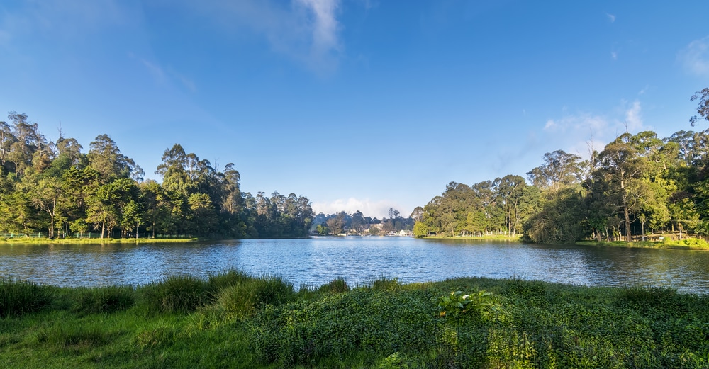 Kodaikanal Lake, Kodaikanal