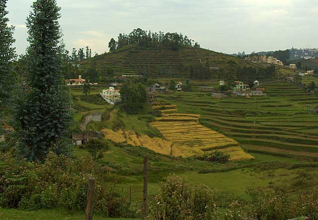 kodaikanal1