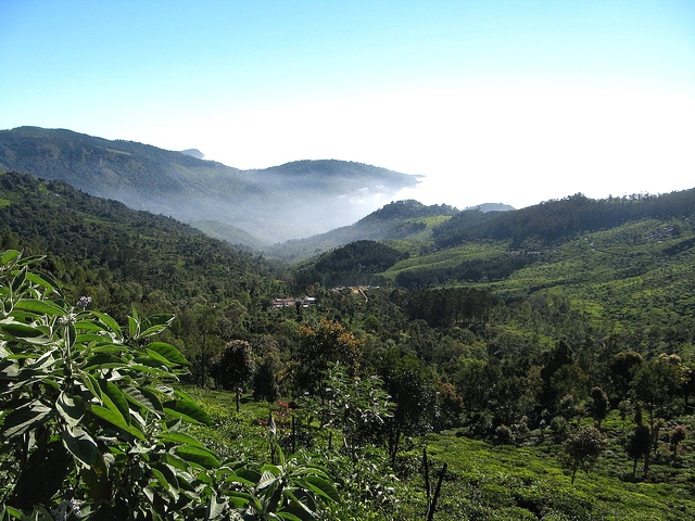 kotagiri-hills