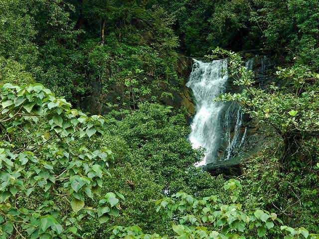 kudremukh-national-park