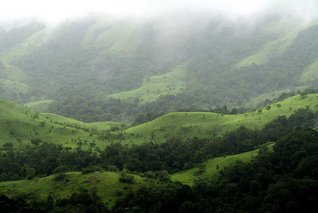 kudremukh-national-park2