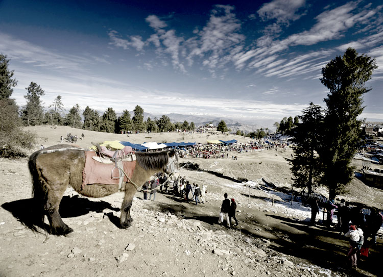 shimla near tourist destination