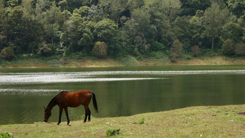 Kundala Lake Munnar