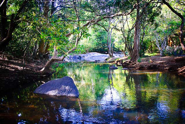 tamilnadu tourism wayanad