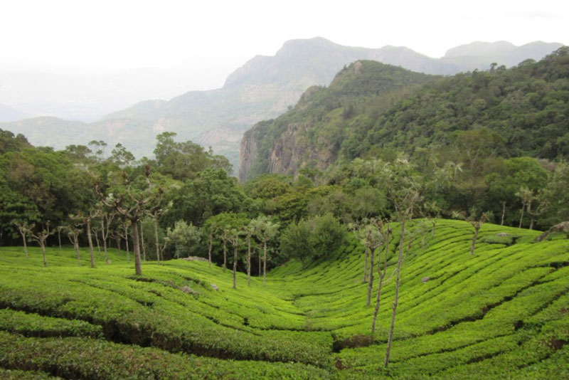 Lady Cannings Seat Coonoor