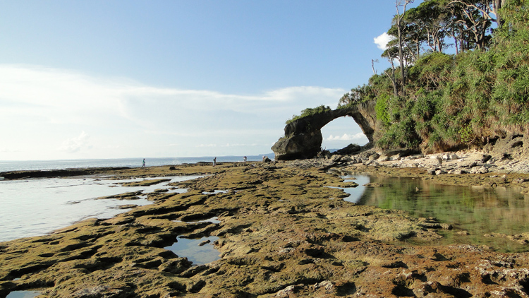 Lakshmanpur Beach