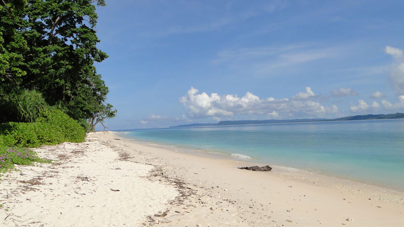 Laxmanpur Beach Neil Island Andaman