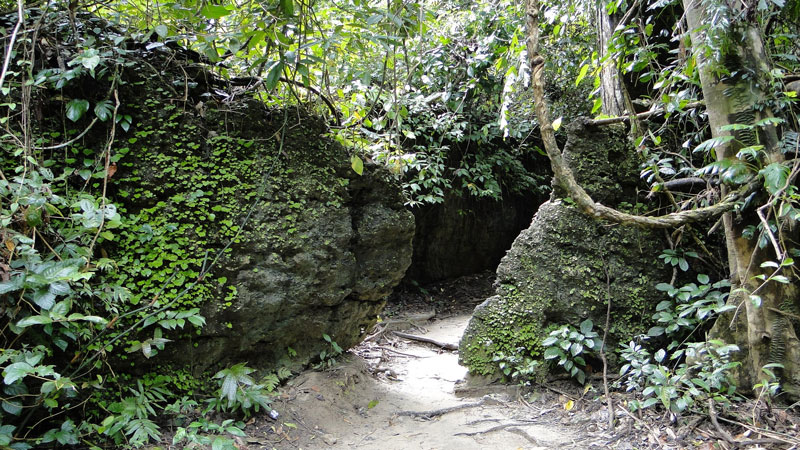 Limestone Cave Baratang Andaman