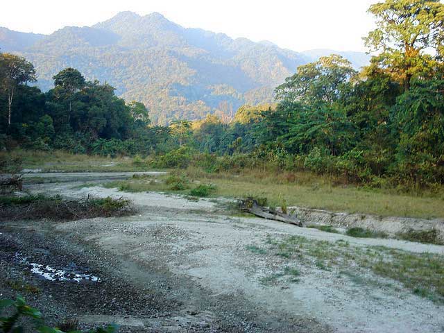 manas-national-park1