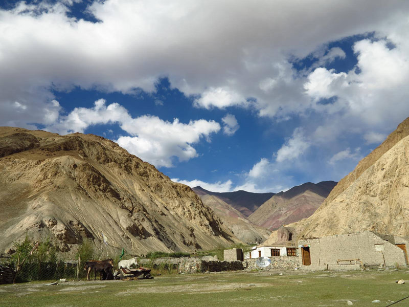 Markha Valley Trek