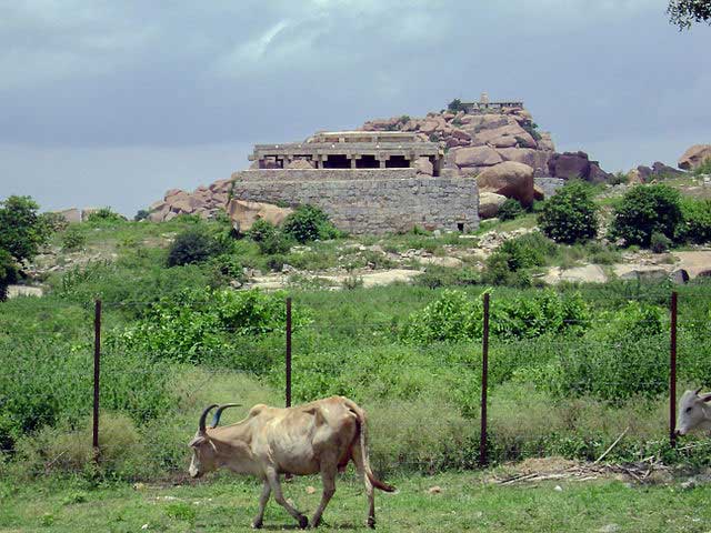 matunga-hill