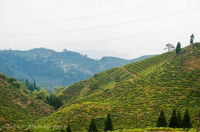 mirik2