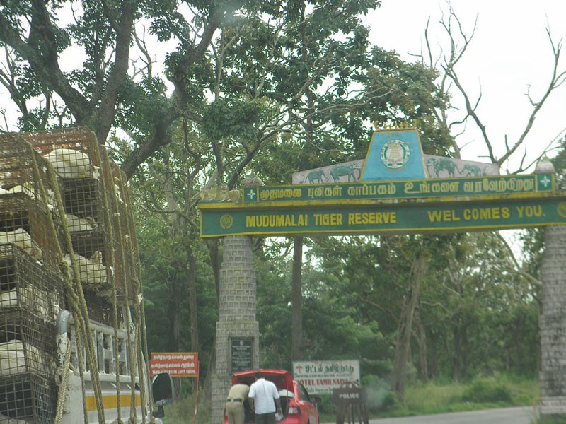 Mudumalai National Park