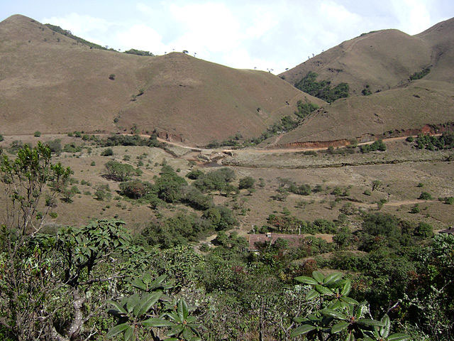 mukurthi-national-park