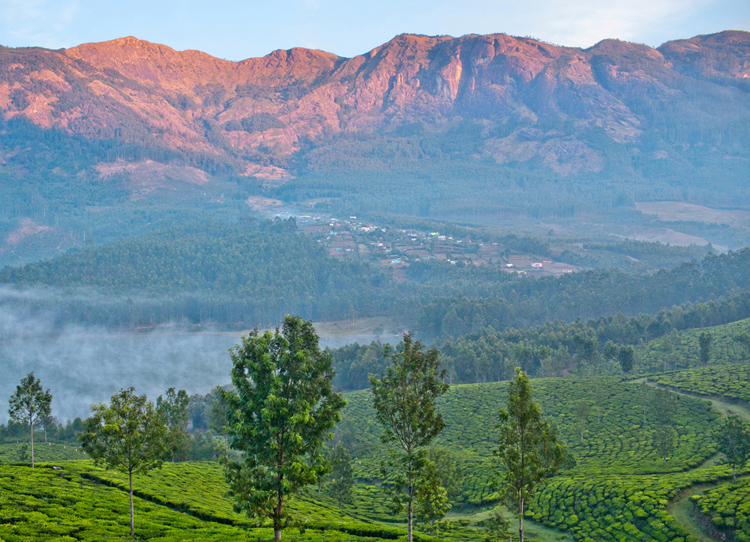 Munnar