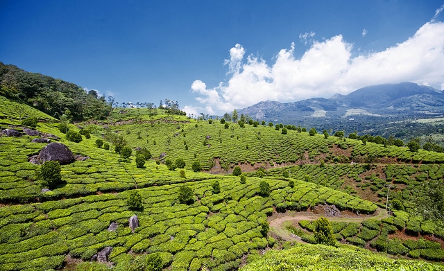 Munnar India