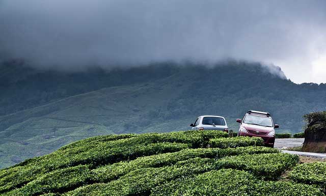 munnar2