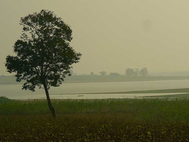 nagarahole-national-park