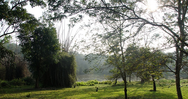 nagarhole-national-park