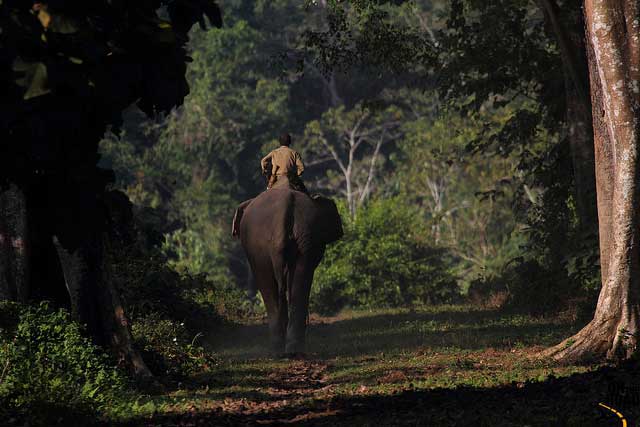 nameri-national-park1