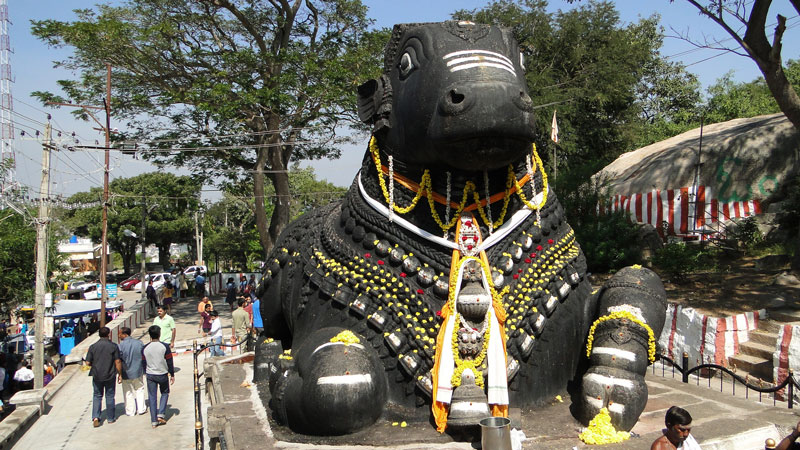 Nandi Statue