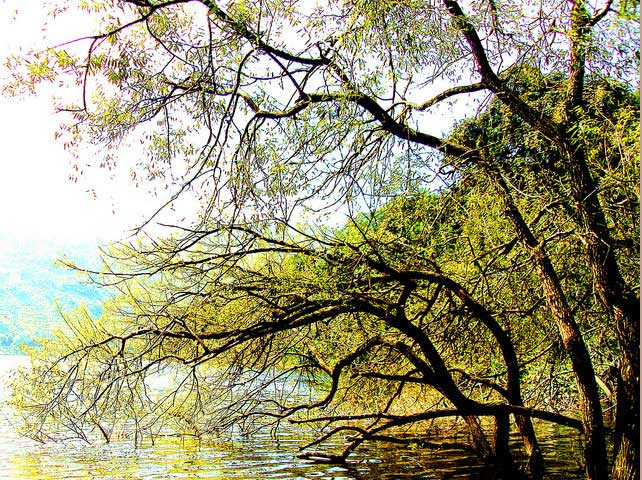 naukuchiatal-lake