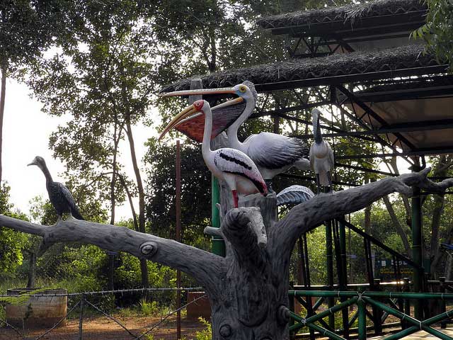 nelapattu-bird-sanctuary