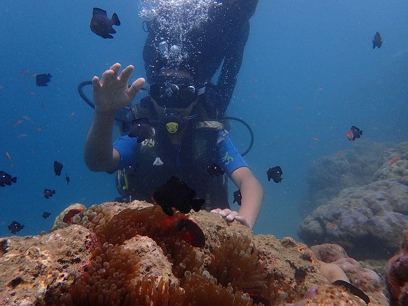 North Bay Island Andaman