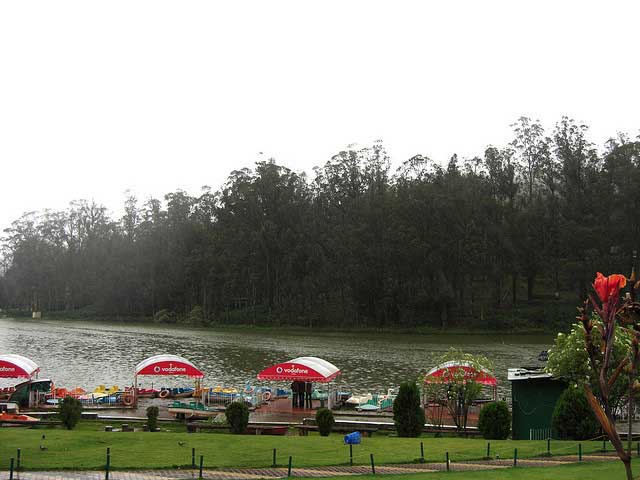 ooty1