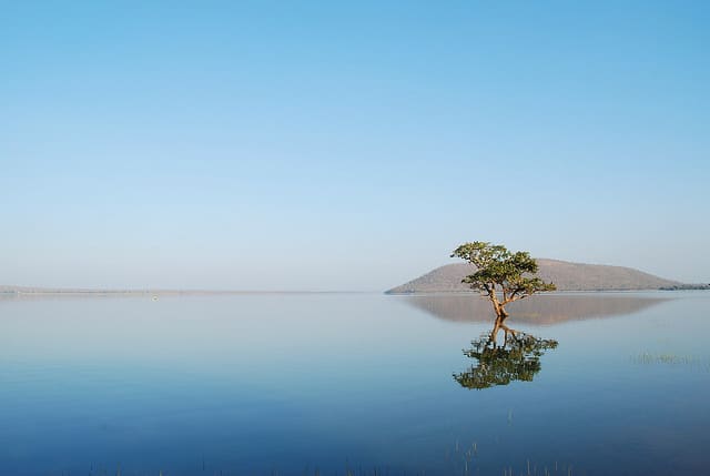 pakhal-lake1