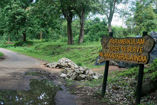 parambikulam-wildlife-sanctuary