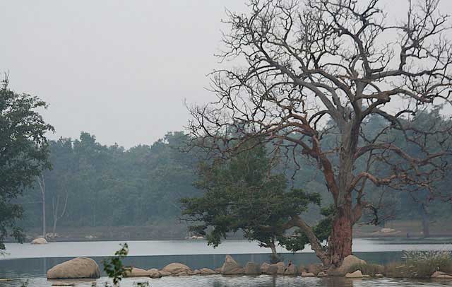 pench-national-park