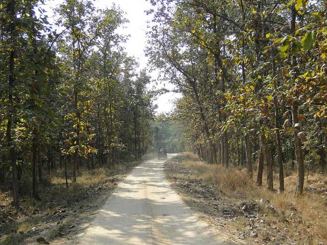 pench-national-park3