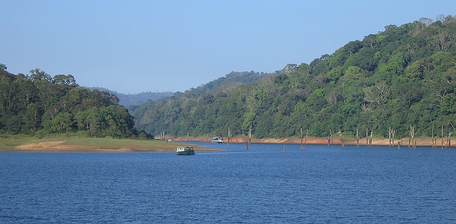 periyar-national-park-and-wildlife-sanctuary