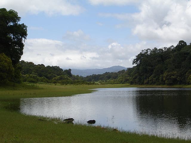 periyar-wild-life-sanctuary