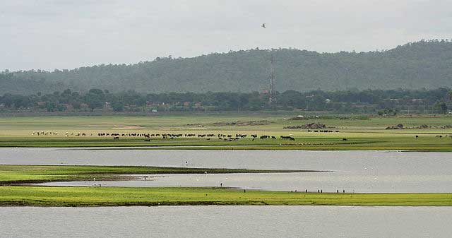 pocharam-wildlife-sanctuary