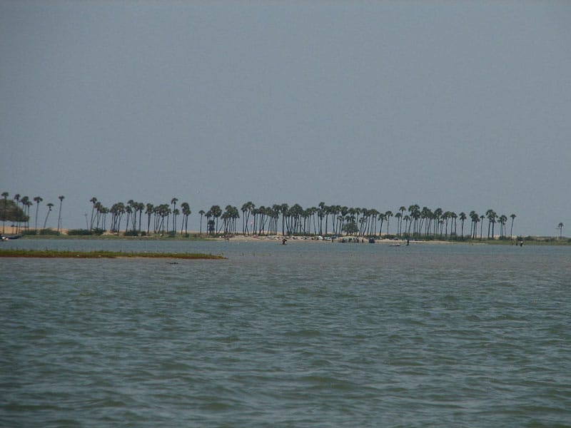 Pulicat Lake Chennai